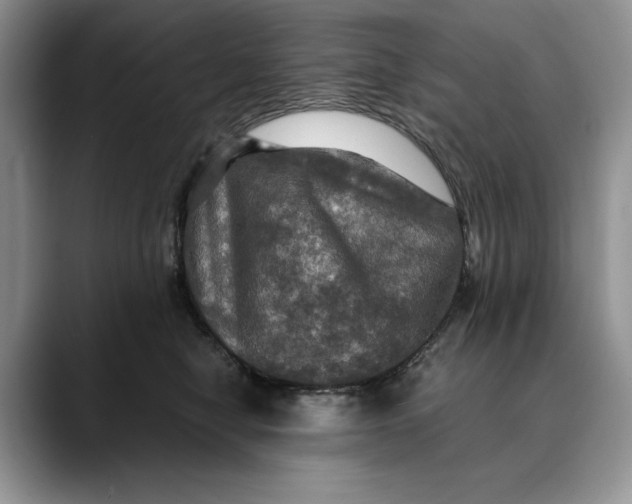 X0000088480470200706121534