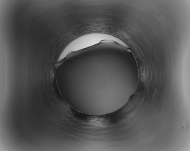 X0000088480471200706121534