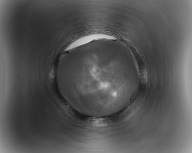 X0000088480472200706121534