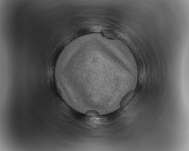 X0000088480473200706121534