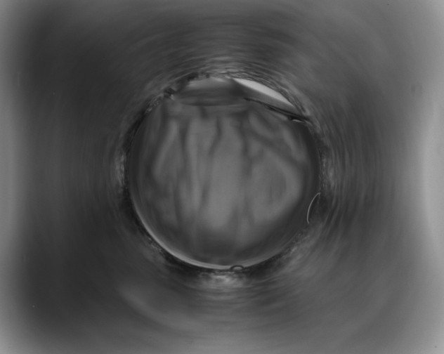 X0000088480475200706121534