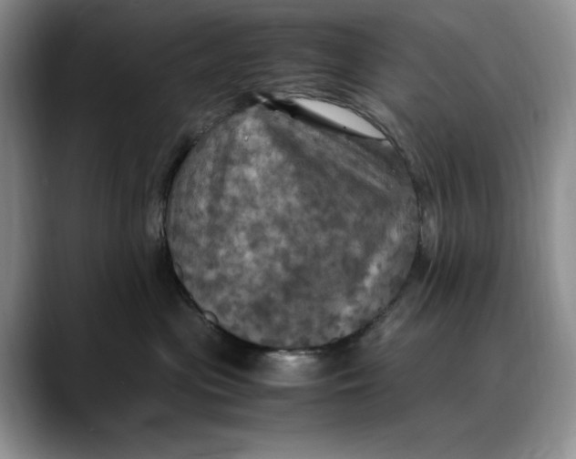 X0000088480477200706121534