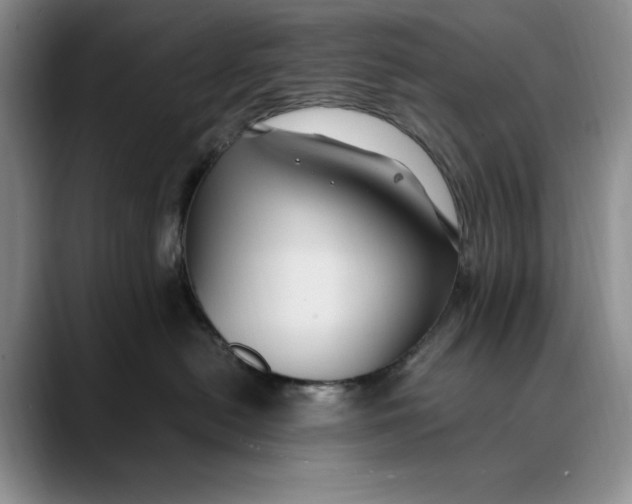 X0000088480478200706121534