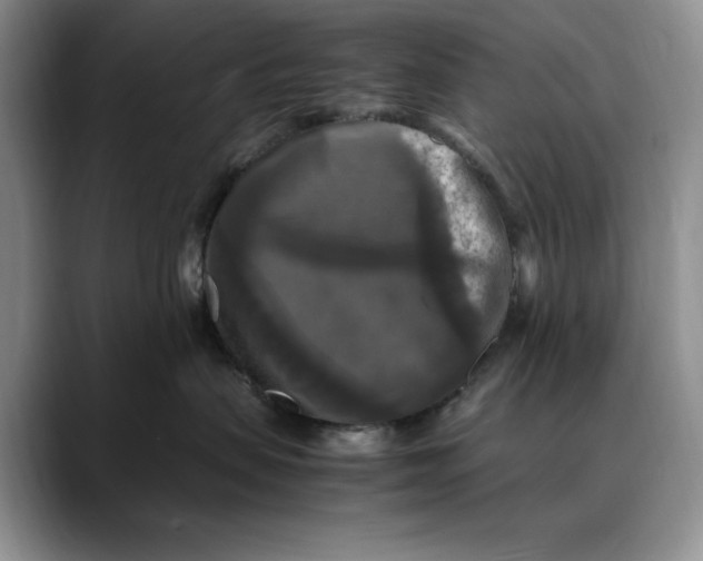 X0000088480479200706121534