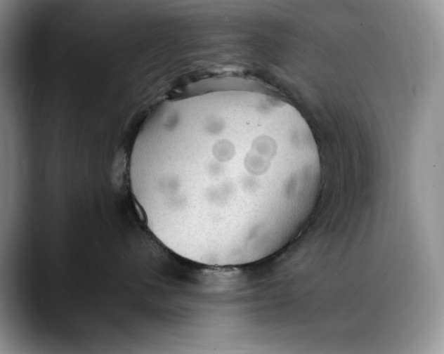 X0000088480480200706121534