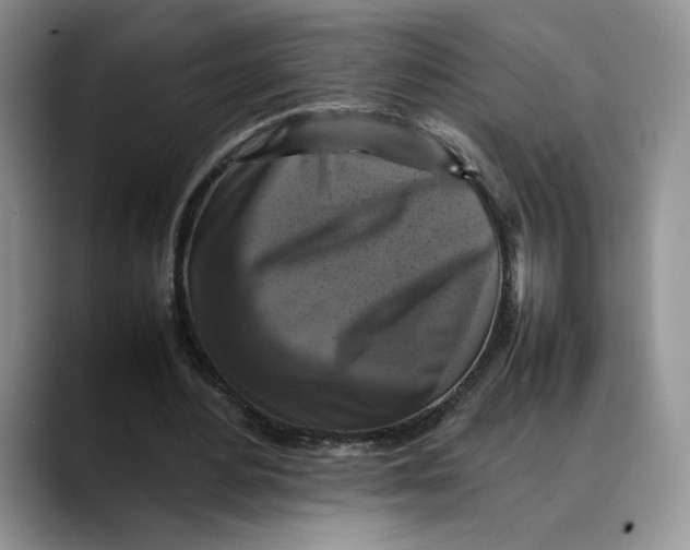 X0000088480484200706121533