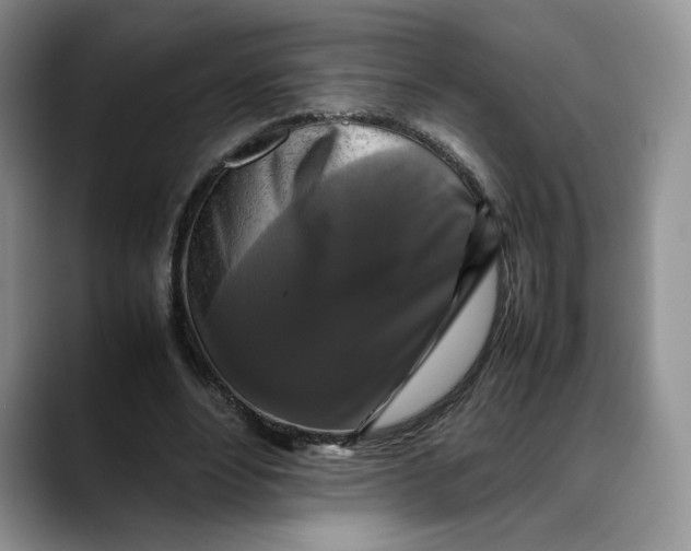 X0000088480488200706121533