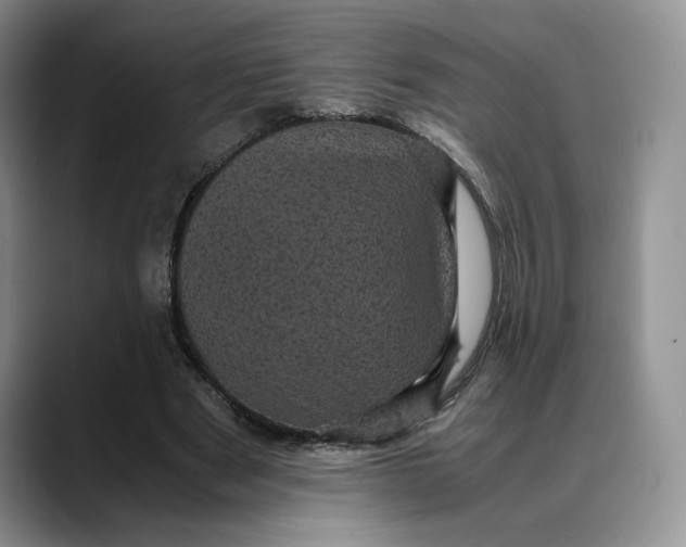 X0000088480489200706121533