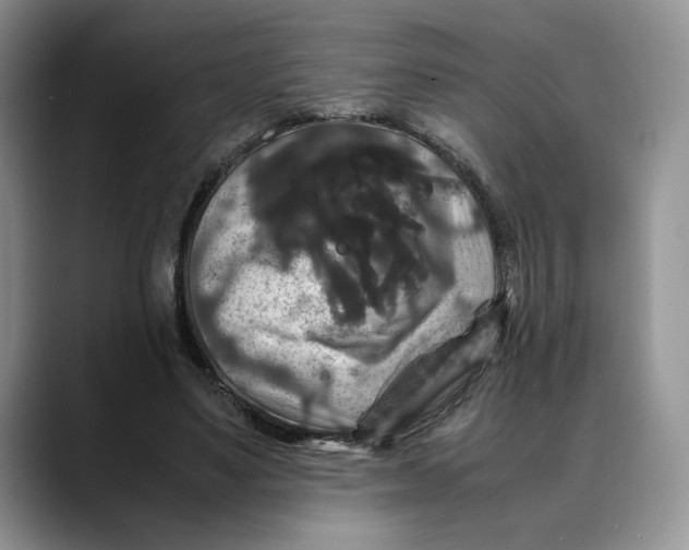 X0000088480491200706121533