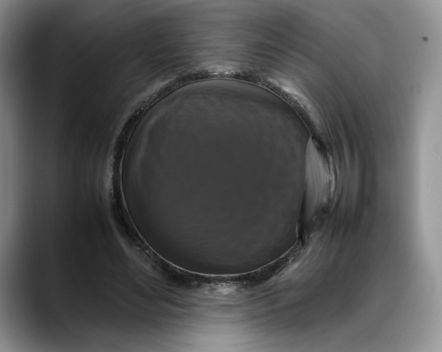 X0000088480492200706121533