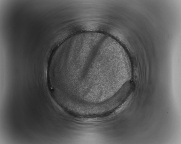 X0000088480493200706121533