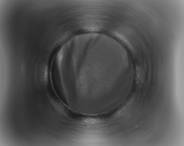 X0000088480494200706121533