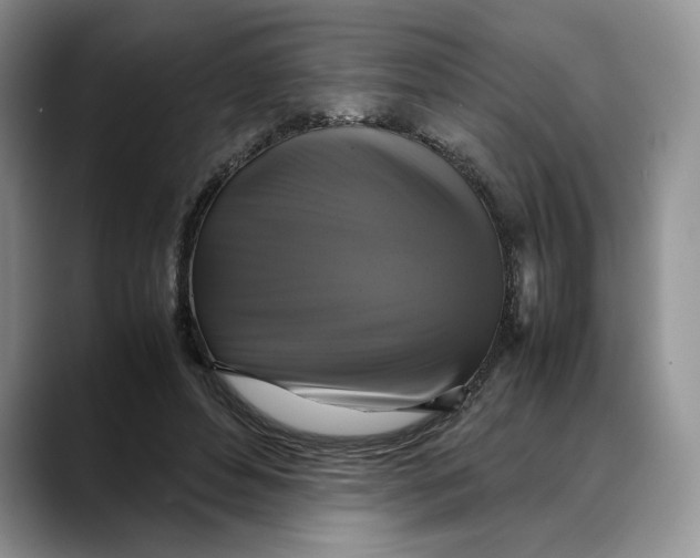 X0000088480496200706121533