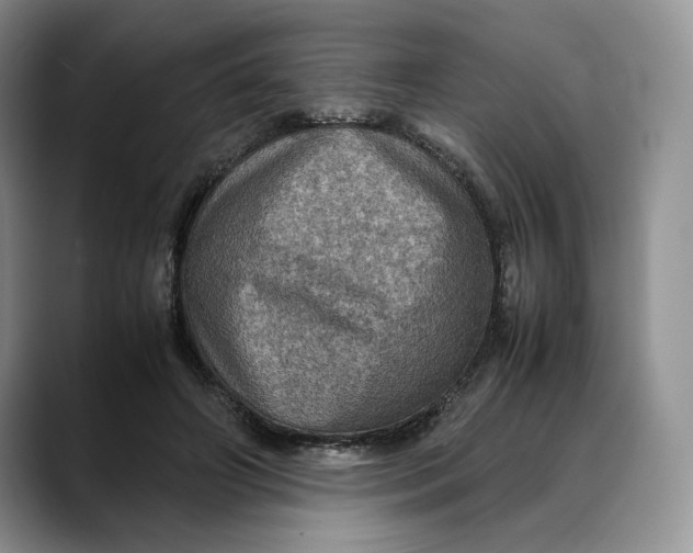 X0000088480498200706121533