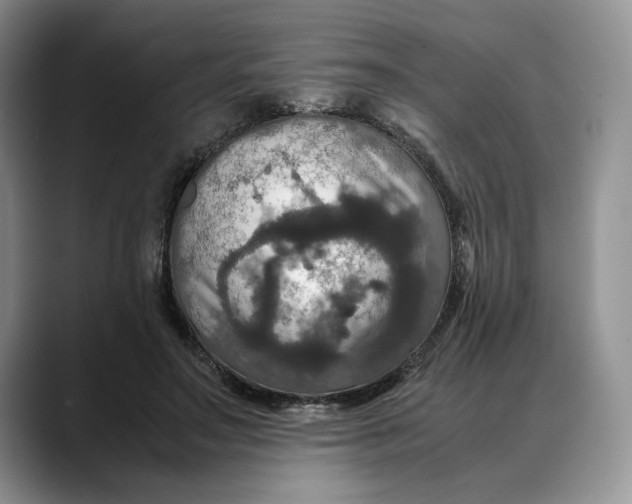 X0000088480499200706121533