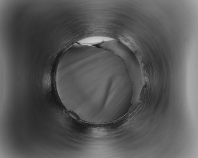 X0000088480500200706121533