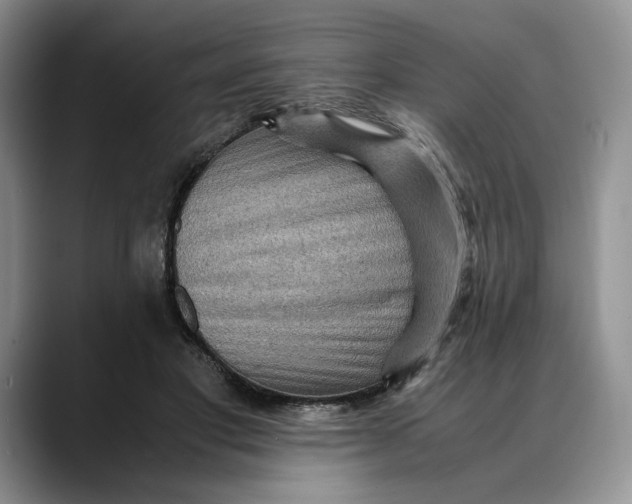 X0000088480501200706121533