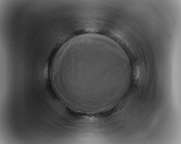 X0000088480502200706121533