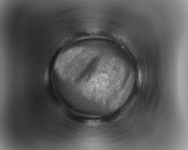 X0000088480508200706121533