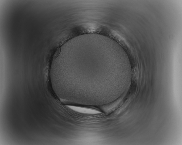 X0000088480509200706121533