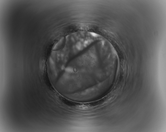 X0000088480511200706121533