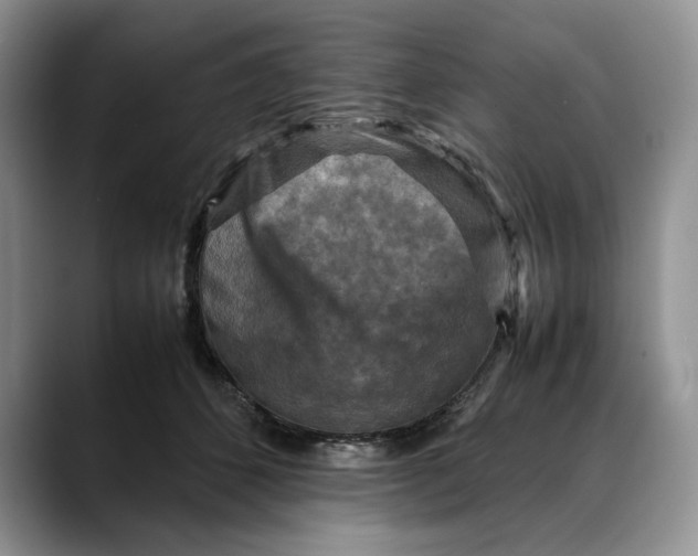 X0000088480512200706121533