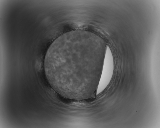 X0000088480515200706121533