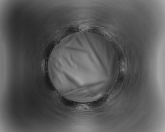 X0000088480519200706121533