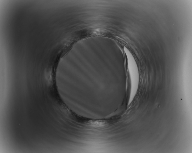 X0000088480520200706121533