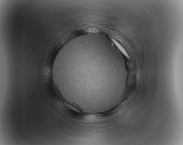 X0000088480521200706121533