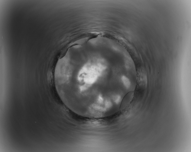 X0000088480523200706121533