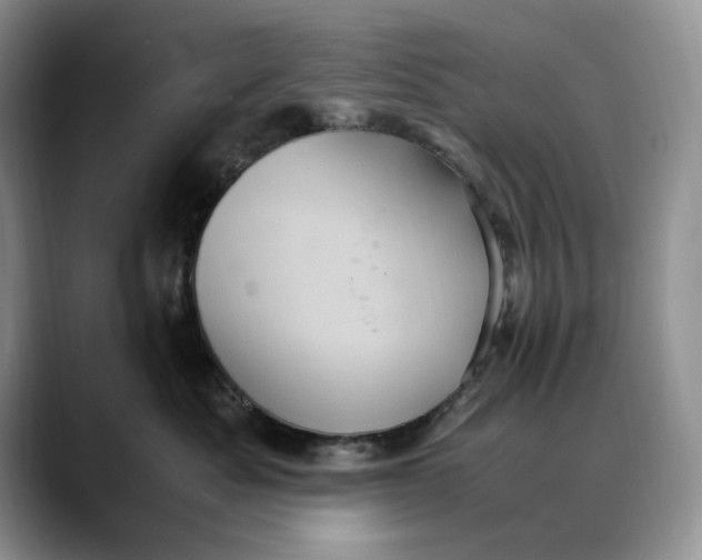 X0000088480525200706121533