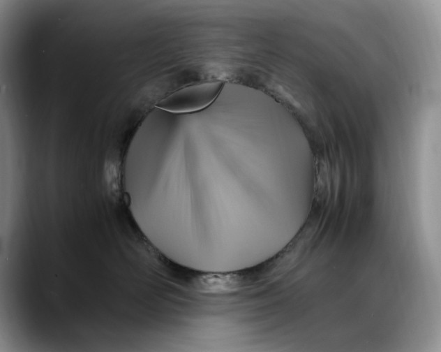 X0000088480526200706121533