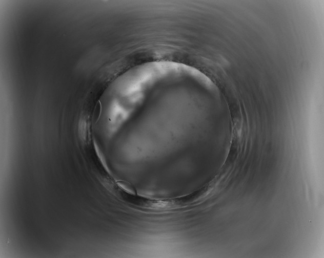 X0000088480527200706121533