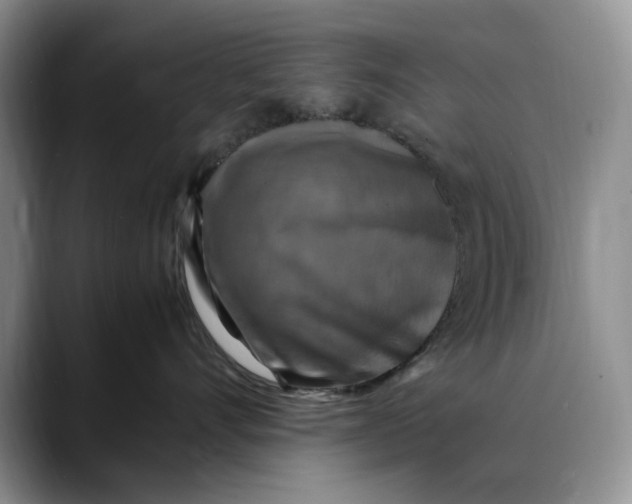 X0000088480528200706121533