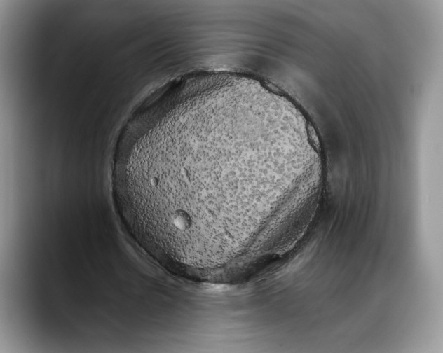 X0000088480530200706121532