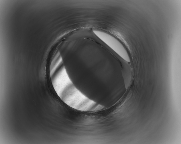 X0000088480531200706121532