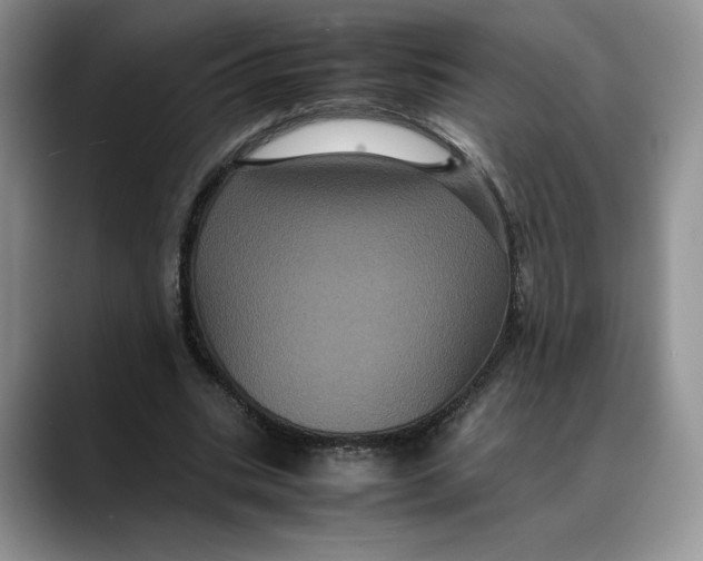 X0000088480535200706121532