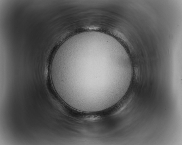 X0000088480541200706121532