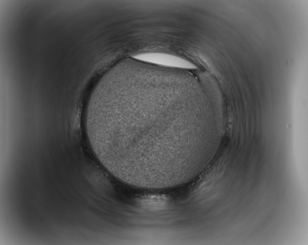 X0000088480543200706121532