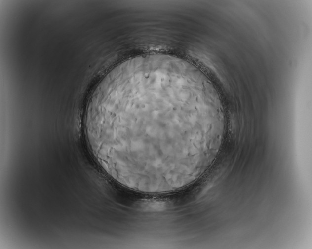 X0000088480545200706121532