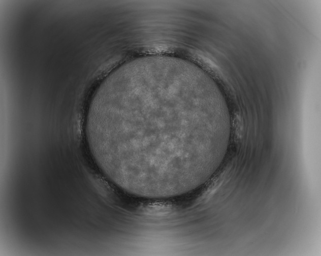 X0000088480546200706121532