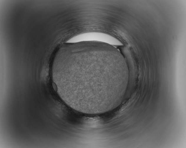 X0000088480548200706121532