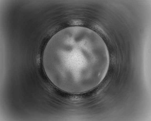 X0000088480549200706121532