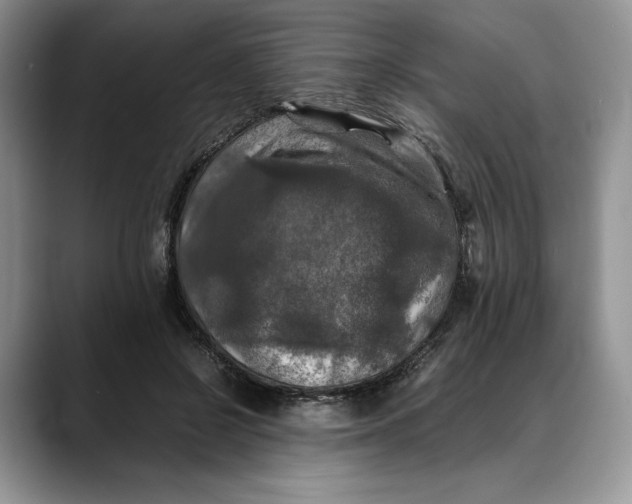 X0000088480550200706121533