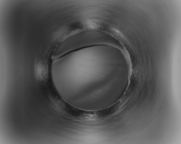 X0000088480552200706121533