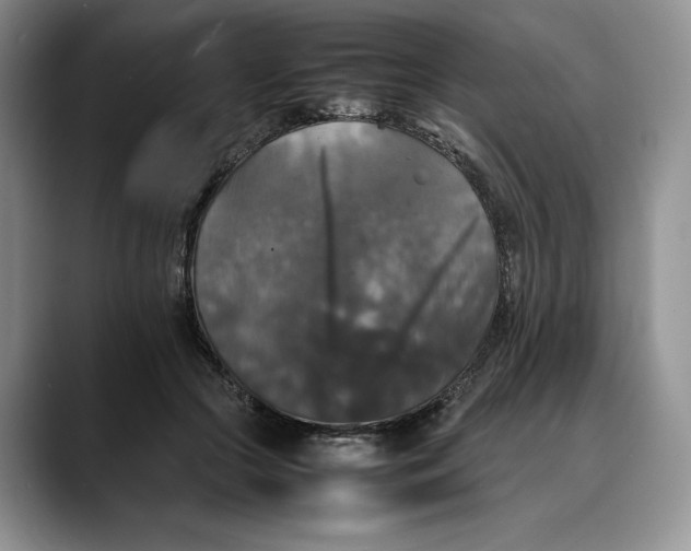 X0000088480553200706121533