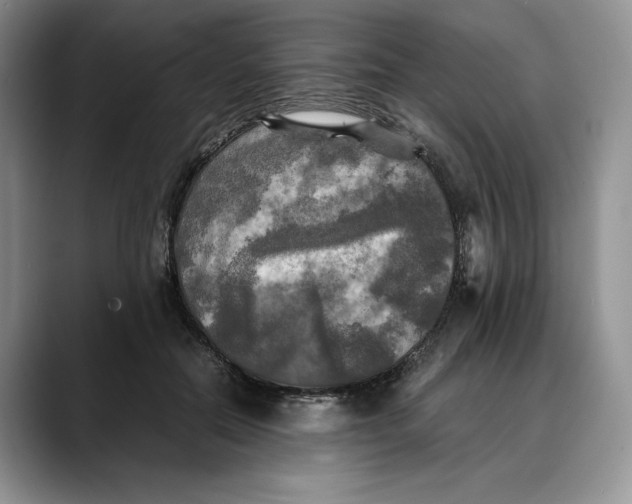 X0000088480554200706121533