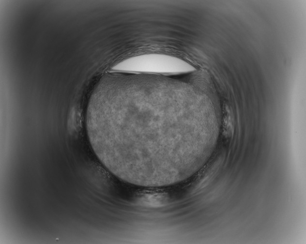 X0000088480555200706121533