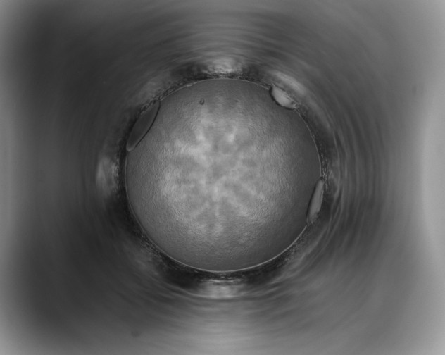 X0000088480556200706121533